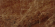 Керамогранит Gresse Simbel Espera 60x120, GRS05-25