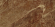 Керамогранит Gresse Simbel Espera 60x120, GRS05-25