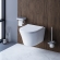 Унитаз Damixa Skyline DX35C1700SC Унитаз Damixa Skyline DX35C1700SC