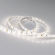 Светодиодная лента RTW 2-5000SE 12V Day (3528, 300 LED, LUX), Arlight, 015447(B), изображение 3 Светодиодная лента RTW 2-5000SE 12V Day (3528, 300 LED, LUX), Arlight, 015447(B), изображение 3