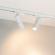 Светильник LGD-ARTEMIS-TRACK-4TR-R55-12W Warm2700 (WH, 8-80 deg, 230V), Arlight, 062275, изображение 5 Светильник LGD-ARTEMIS-TRACK-4TR-R55-12W Warm2700 (WH, 8-80 deg, 230V), Arlight, 062275, изображение 5