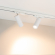 Светильник LGD-ARTEMIS-TRACK-4TR-R55-12W Warm2700 (WH, 8-80 deg, 230V), Arlight, 062275, изображение 6 Светильник LGD-ARTEMIS-TRACK-4TR-R55-12W Warm2700 (WH, 8-80 deg, 230V), Arlight, 062275, изображение 6
