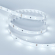 Светодиодная лента RT 2-5000 12V Cool (5630, 150 LED, LUX), Arlight, 019730, изображение 2 Светодиодная лента RT 2-5000 12V Cool (5630, 150 LED, LUX), Arlight, 019730, изображение 2