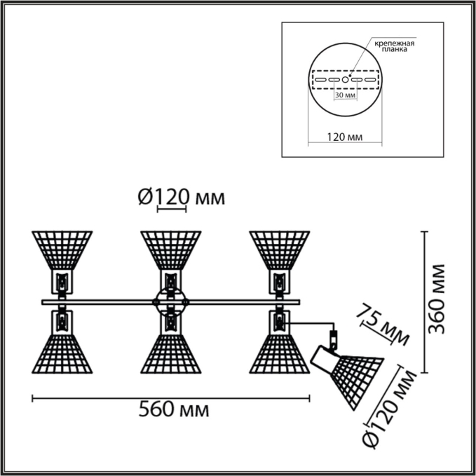 Люстра потолочная Е14 6*40W 220V ANRIYA MODERNI LN26 220 LUMION 8045/6C, схема товара Люстра потолочная Е14 6*40W 220V ANRIYA MODERNI LN26 220 LUMION 8045/6C, схема товара