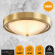 Настеннопотолочный светильник E27 2*60W 220V NINA VINTAGE LN26 121 LUMION 5259/2C, фото на цветном фоне 2 Настеннопотолочный светильник E27 2*60W 220V NINA VINTAGE LN26 121 LUMION 5259/2C, фото на цветном фоне 2