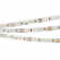 Светодиодная лента MICROLED-5000HP 24V White-MIX 8mm (2216, 240 LED/m, LUX), Arlight, 024504, изображение 1 Светодиодная лента MICROLED-5000HP 24V White-MIX 8mm (2216, 240 LED/m, LUX), Arlight, 024504, изображение 1