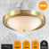 Настеннопотолочный светильник E27 3*60W 220V NINA VINTAGE LN26 121 LUMION 5259/3C, фото на цветном фоне 2 Настеннопотолочный светильник E27 3*60W 220V NINA VINTAGE LN26 121 LUMION 5259/3C, фото на цветном фоне 2