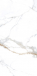 Керамогранит NT Ceramic Atlas Wide Carrara Gold Mat 120x240, NTT3000M Керамогранит NT Ceramic Atlas Wide Carrara Gold Mat 120x240, NTT3000M