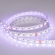 Светодиодная лента RT 2-5000 24V RGBW-MIX 12mm (5060-One, 60 LED/m, LUX), Arlight, 026363, изображение 2 Светодиодная лента RT 2-5000 24V RGBW-MIX 12mm (5060-One, 60 LED/m, LUX), Arlight, 026363, изображение 2