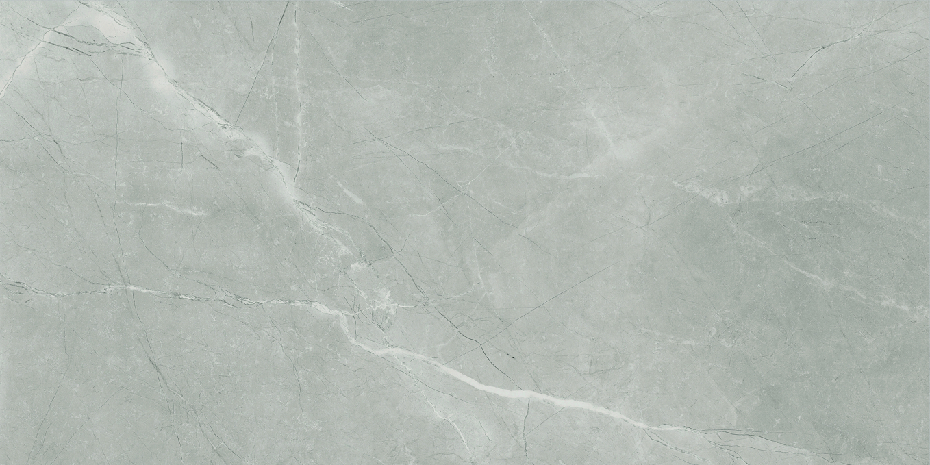 Керамогранит Baldocer Bayona Silver Natural 60x120 Керамогранит Baldocer Bayona Silver Natural 60x120