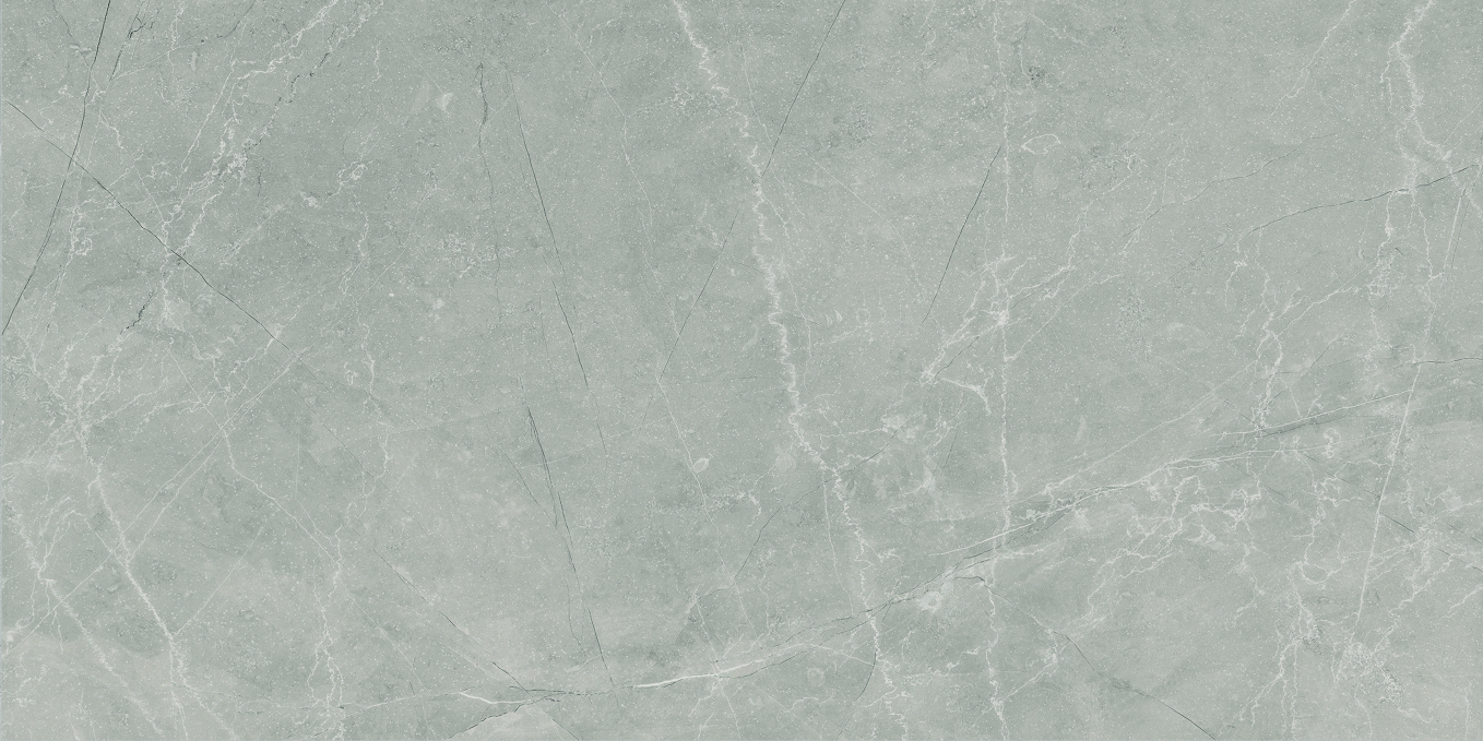 Керамогранит Baldocer Bayona Silver Natural 60x120 Керамогранит Baldocer Bayona Silver Natural 60x120