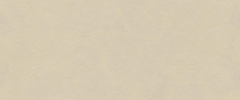 Настенная плитка Atlas Concorde Boost Natural Pro 3D Craft Oat  50x120, AQ7B