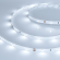 Светодиодная лента RT 2-5000 24V White6000 0.5x (3528, 150 LED, LUX), Arlight, 019917, изображение 1 Светодиодная лента RT 2-5000 24V White6000 0.5x (3528, 150 LED, LUX), Arlight, 019917, изображение 1