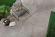 Керамогранит Atlas Concorde Brave Gypsum 30x60, D051 Керамогранит Atlas Concorde Brave Gypsum 30x60, D051