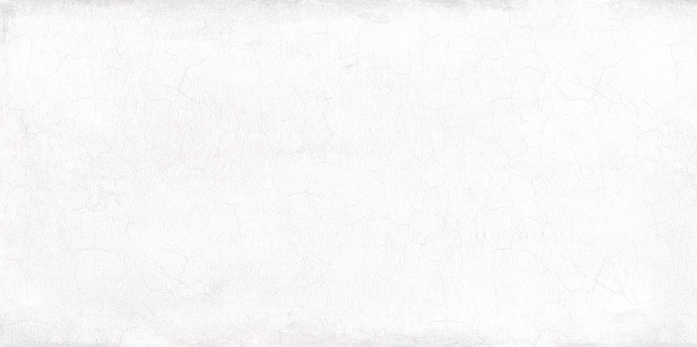 Настенная плитка Alma Ceramica Mattone 24.9x50, TWU09MTN007 Настенная плитка Alma Ceramica Mattone 24.9x50, TWU09MTN007