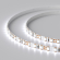 Светодиодная лента RT 2-5000 12V Cool 8K 5mm 2x (3528, 600 LED, LUX), Arlight, 015005(B), изображение 2 Светодиодная лента RT 2-5000 12V Cool 8K 5mm 2x (3528, 600 LED, LUX), Arlight, 015005(B), изображение 2