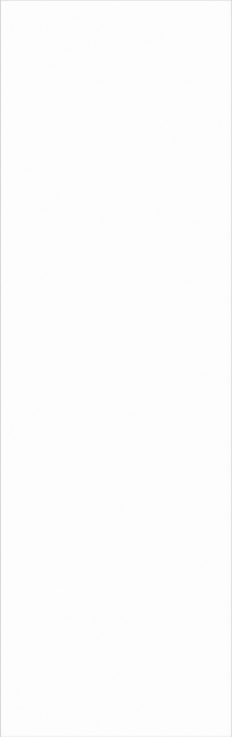 Керамогранит StaroSlabs Matt Mono White 80x260 Керамогранит StaroSlabs Matt Mono White 80x260