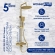 Душевая система WasserKRAFT A199.259.201.BG T Душевая система WasserKRAFT A199.259.201.BG T