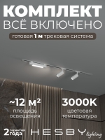 Комплект трековый Skylite №5, Hesby Lighting, HSBL_kompl_S005_VI1W3K