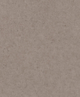 Обои Rasch Beltesto, 520873