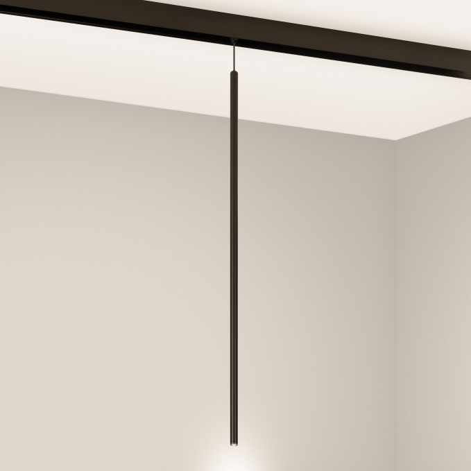 Светильник MAG-ORIENT-SPOT-HANG-L600-R12-2W Warm3000 (BK, 20 deg, 48V), Arlight, 044502, изображение 3 Светильник MAG-ORIENT-SPOT-HANG-L600-R12-2W Warm3000 (BK, 20 deg, 48V), Arlight, 044502, изображение 3