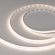 Светодиодная лента COB-X320-8mm 24V Day4000(8 W/m, IP20, CSP, 5m), Arlight, 039021, изображение 6 Светодиодная лента COB-X320-8mm 24V Day4000(8 W/m, IP20, CSP, 5m), Arlight, 039021, изображение 6