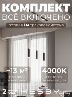 Комплект трековый Skylite №12, Hesby Lighting, HSBL_kompl_S012_VI1B4K