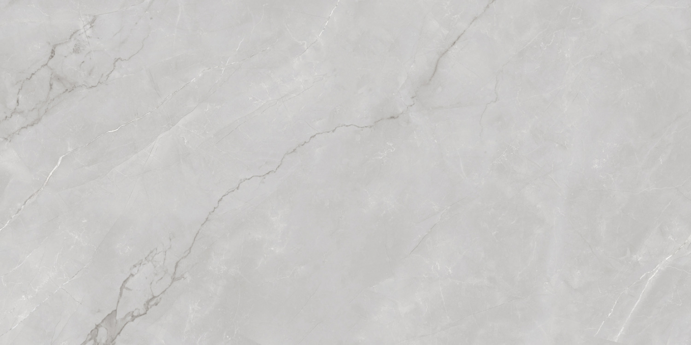 Керамогранит Infinity Ceramica Astonia Silver Glossy Silver Line 60x120 Керамогранит Infinity Ceramica Astonia Silver Glossy Silver Line 60x120