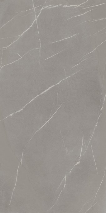 Керамогранит Laminam In-Side Pietra Piasentina Grigio 162x324, LAMF009553 Керамогранит Laminam In-Side Pietra Piasentina Grigio 162x324, LAMF009553