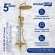 Душевая система WasserKRAFT A199.262.201.BG T Душевая система WasserKRAFT A199.262.201.BG T