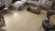 Каменный ламинат SPC Alpine Floor Grand Sequoia Кипарисовая, ECO 11-26 MC