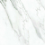 Керамогранит ITC India Statuario Carrara Bianco Sugar 60x60