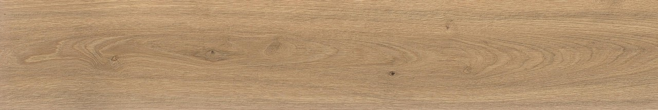 Керамогранит Atlas Concorde Log Icon Oak 20x120, AX3A