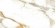 Керамогранит Alma Ceramica Calacatta Oro 57x114, GFA114CLR04L Керамогранит Alma Ceramica Calacatta Oro 57x114, GFA114CLR04L