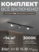 Комплект трековый Skylite №13, Hesby Lighting, HSBL_kompl_S013_VI1B3K