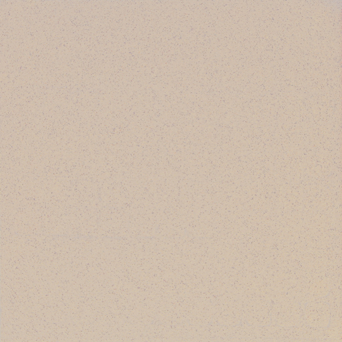Керамогранит Estima Profi Standard ST17 60x60x10 непол. рект.