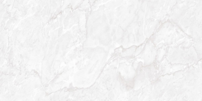 Керамогранит Neodom Belvedere Carrara Pearl Polished 60x120, N20481 Керамогранит Neodom Belvedere Carrara Pearl Polished 60x120, N20481