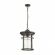 Уличный светильник-подвесной IP44 E27 60W 220V VIRTA NATURE ODL18 699 ODEON LIGHT 4044/1, изображение 1