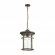 Уличный светильник-подвесной IP44 E27 60W 220V VIRTA NATURE ODL18 699 ODEON LIGHT 4044/1, фото на белом фоне