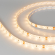 Светодиодная лента герметичная RTW-SE-A60-8mm 12V Warm3000 (7.2 W/m, IP65, 2835, 5m), Arlight, 020519(2), изображение 1