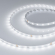 Светодиодная лента RT-A60-8mm 24V White6000 (4.8 W/m, IP20, 2835, 5m), Arlight, 011504(2), изображение 1