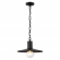 Ландшафтный светильник-подвес E27 1*40W IP44 FURCADIA NATURE ODL21 711 ODEON LIGHT 4833/1, фото на белом фоне