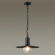 Ландшафтный светильник-подвес E27 1*40W IP44 FURCADIA NATURE ODL21 711 ODEON LIGHT 4833/1, фото на цветном фоне 1