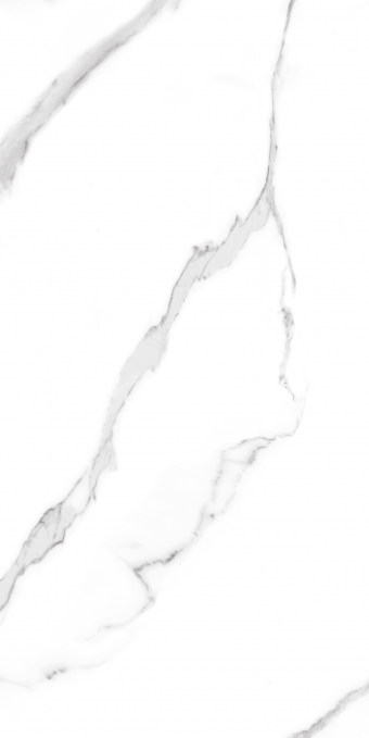 Керамогранит Artcer Eco Carrara White Poli 60x120 Керамогранит Artcer Eco Carrara White Poli 60x120