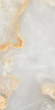 Керамогранит Artcer Onix Pentalico Natural Poli 60x120 Керамогранит Artcer Onix Pentalico Natural Poli 60x120