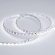Светодиодная лента RT 2-5000 24V White6000 5mm 2x (3528, 600 LED, LUX), Arlight, 015651, изображение 3 Светодиодная лента RT 2-5000 24V White6000 5mm 2x (3528, 600 LED, LUX), Arlight, 015651, изображение 3
