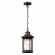 Ландшафтный подвес E27 1*60W IP44 MAVRET NATURE ODL22 703 ODEON LIGHT 4961/1, фото на белом фоне Ландшафтный подвес E27 1*60W IP44 MAVRET NATURE ODL22 703 ODEON LIGHT 4961/1, фото на белом фоне