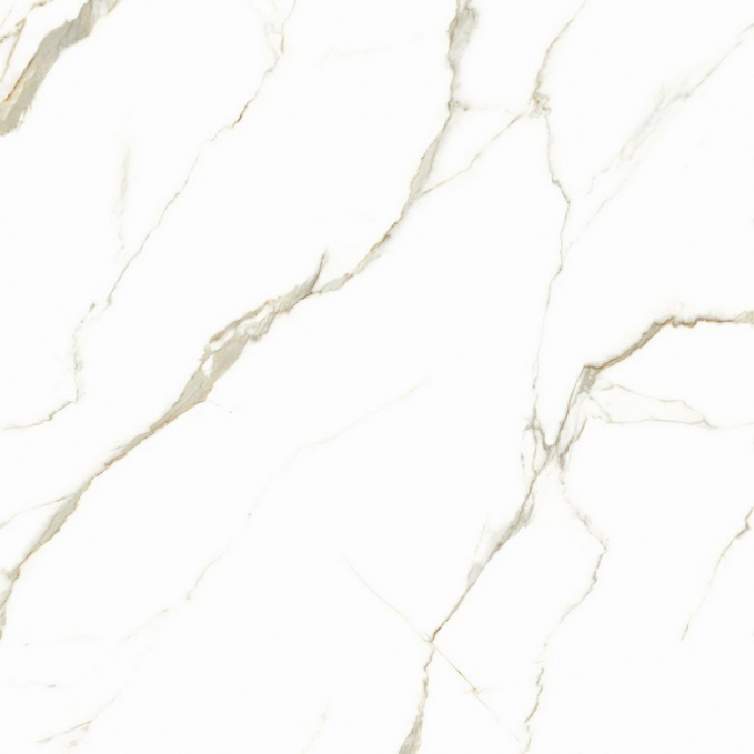 Керамогранит TC Vector Bianco Carrara Classico 60x60