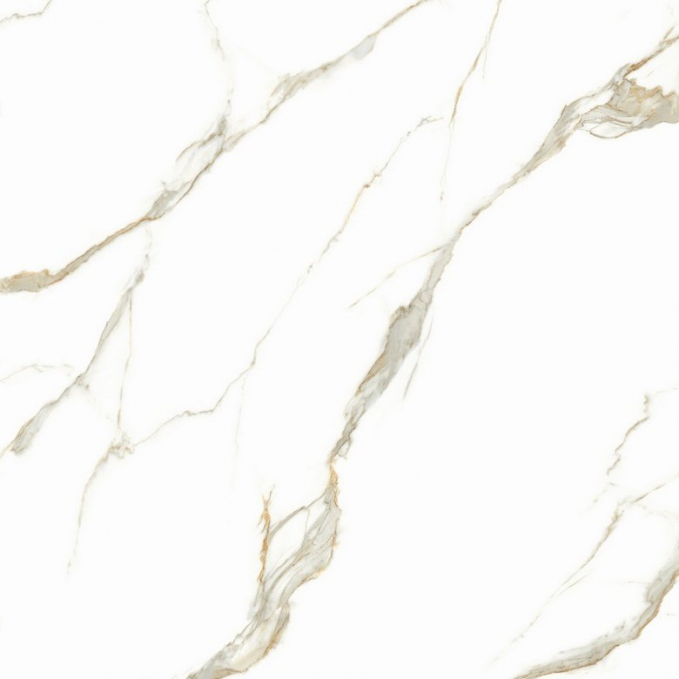 Керамогранит TC Vector Bianco Carrara Classico 60x60
