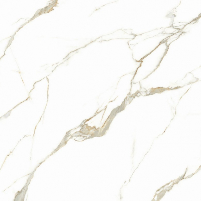 Керамогранит TC Vector Bianco Carrara Classico 60x60